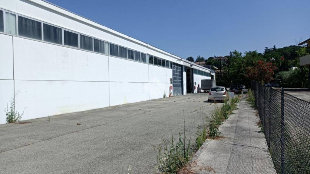 immagine annuncio 9 di 13