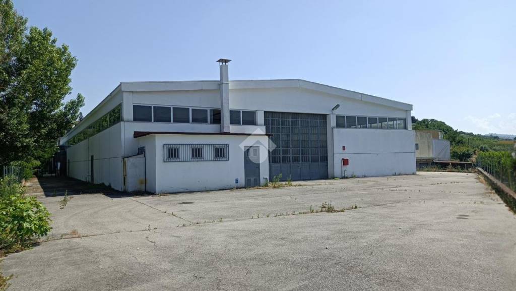 immagine annuncio 10 di 13