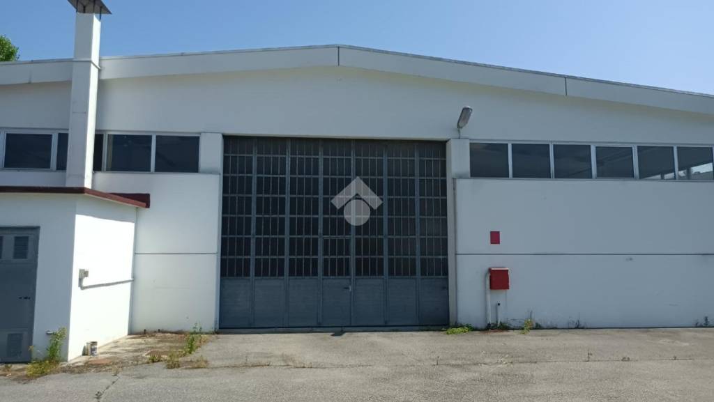 immagine annuncio 11 di 13