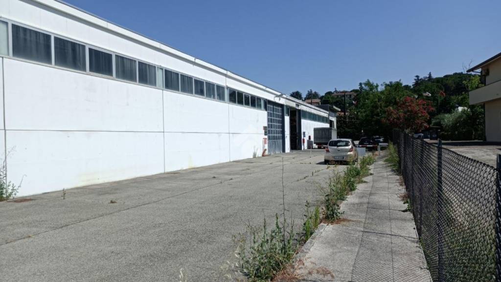 immagine annuncio 12 di 13