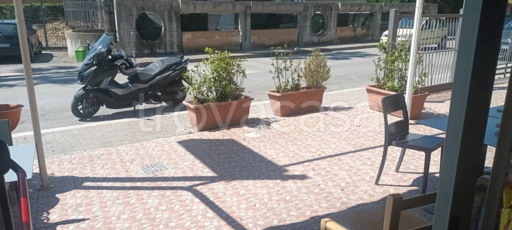 immagine annuncio 3 di 8