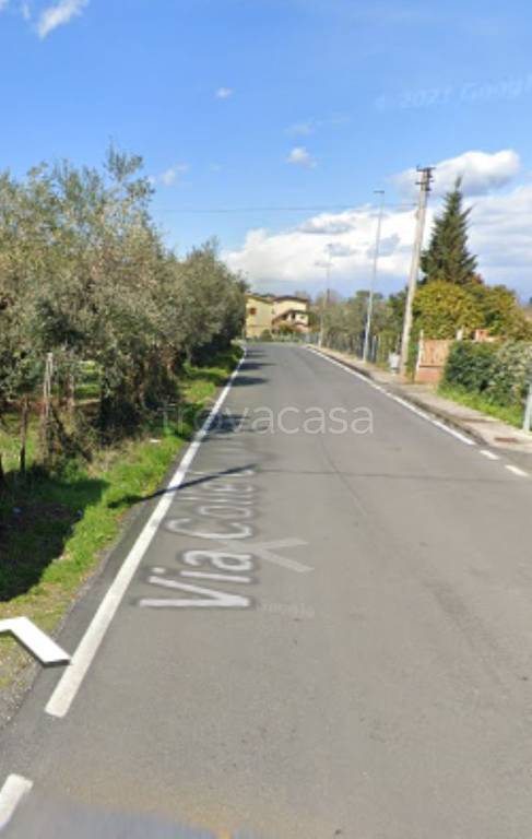 immagine annuncio 6 di 11