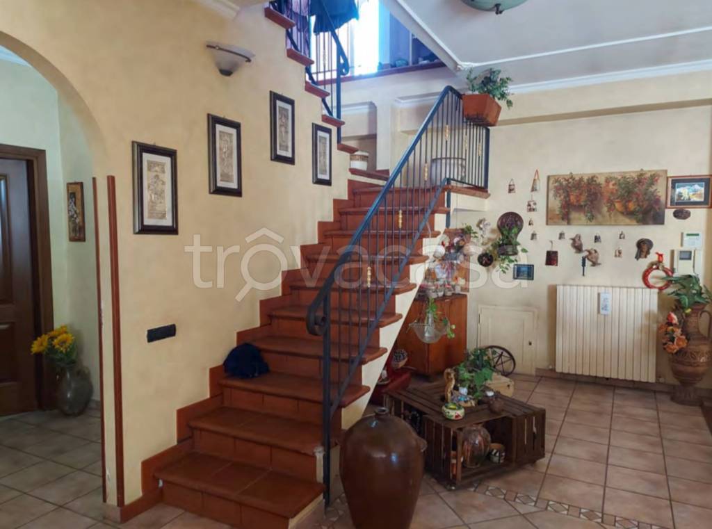immagine annuncio 11 di 14