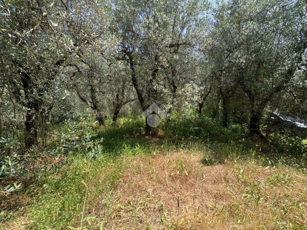 immagine annuncio 3 di 8