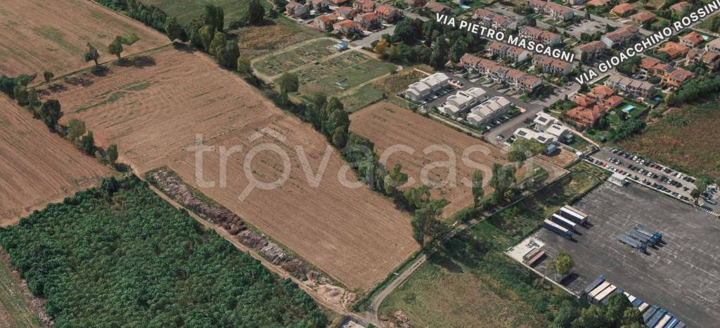immagine annuncio 2 di 10
