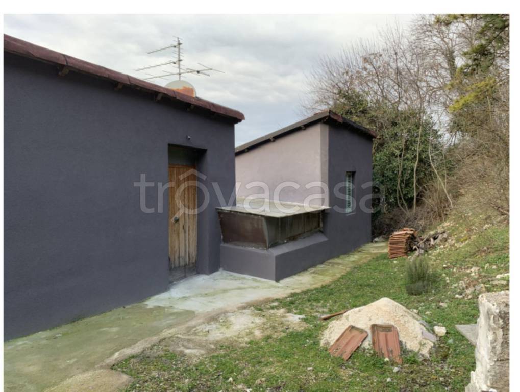 immagine annuncio 4 di 11