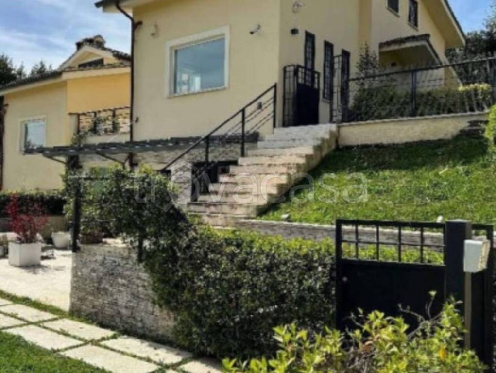 immagine annuncio 12 di 14