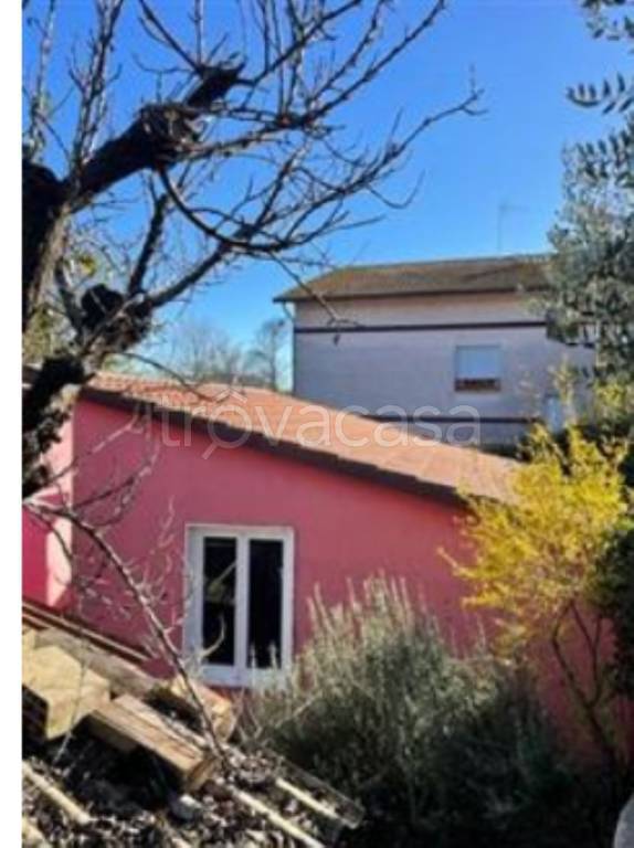 immagine annuncio 7 di 12