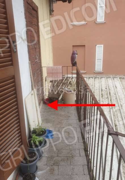 immagine annuncio 3 di 8