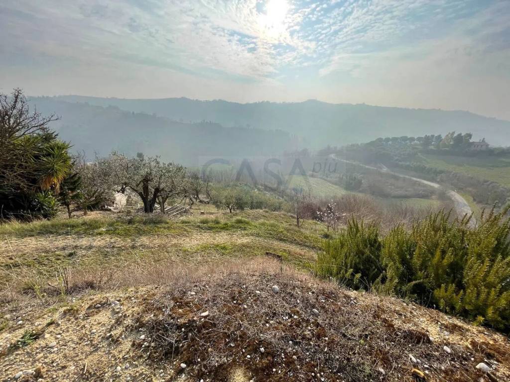 immagine annuncio 6 di 9