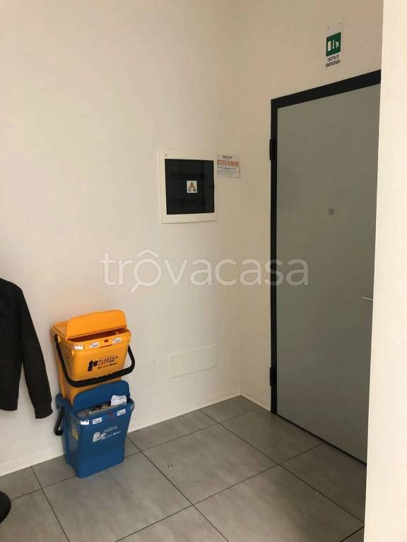 immagine annuncio 9 di 11
