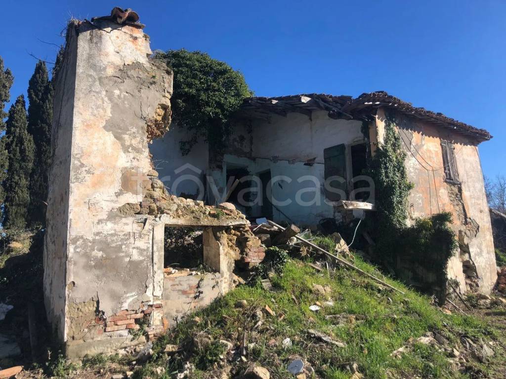 immagine annuncio 3 di 11