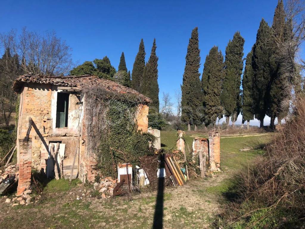 immagine annuncio 8 di 11