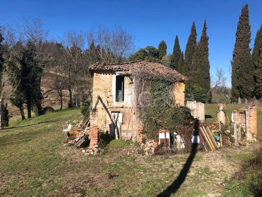 immagine annuncio 10 di 11