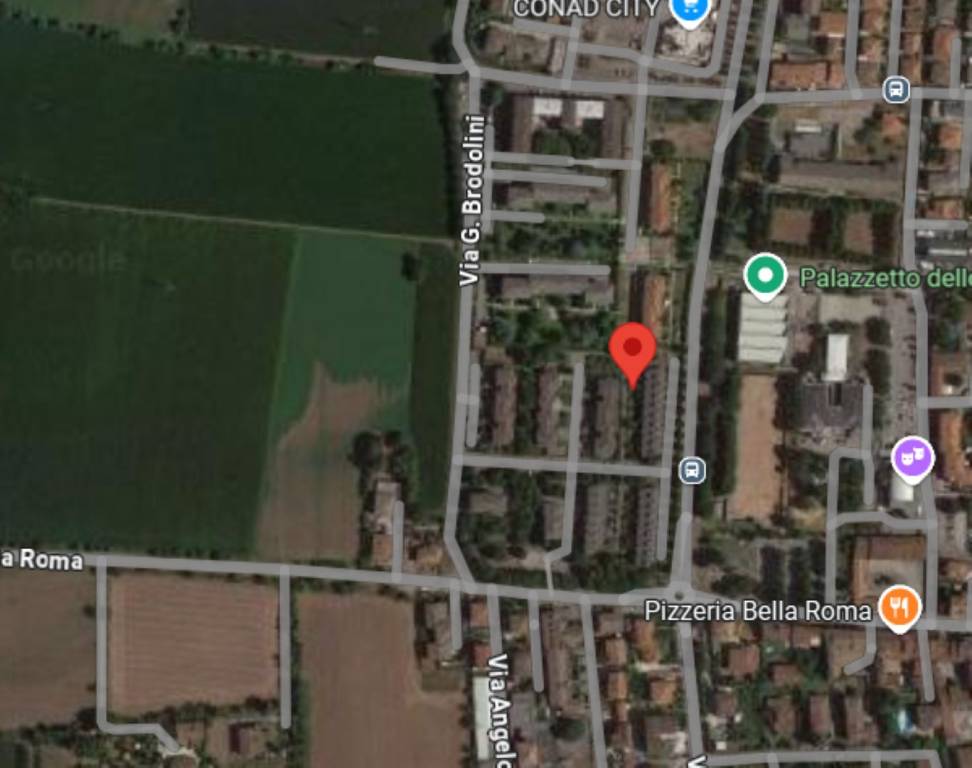 immagine annuncio 3 di 11