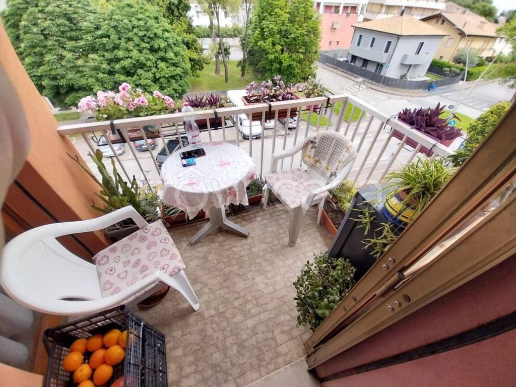 immagine annuncio 11 di 14