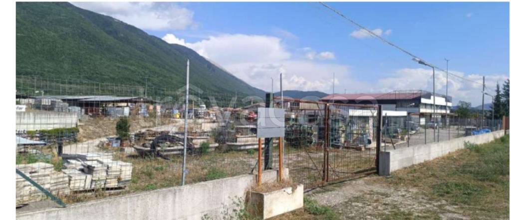 immagine annuncio 4 di 12