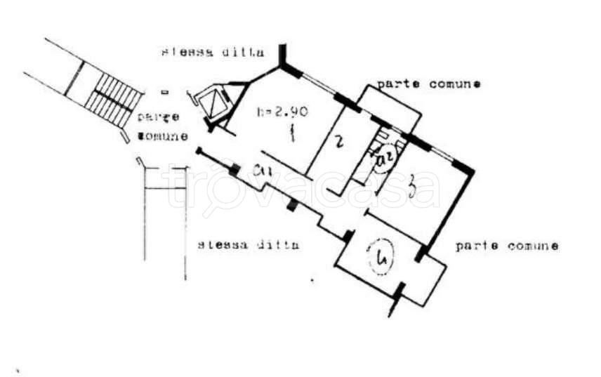 immagine annuncio 5 di 6