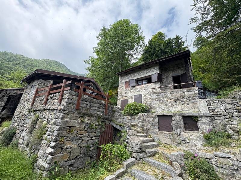 immagine annuncio 9 di 12