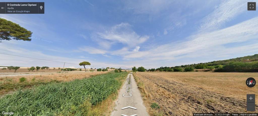 immagine annuncio 7 di 12