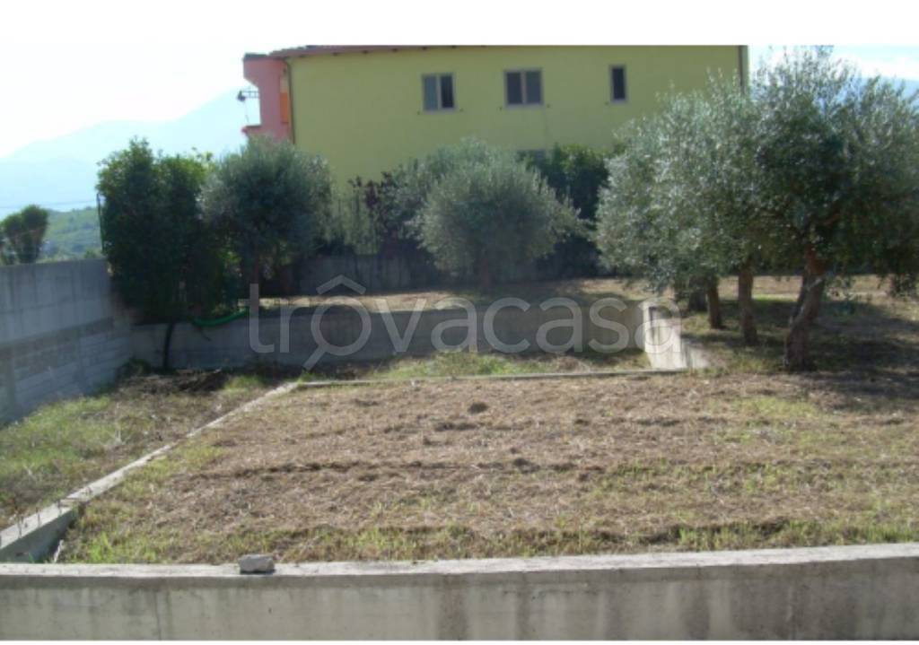 immagine annuncio 4 di 11