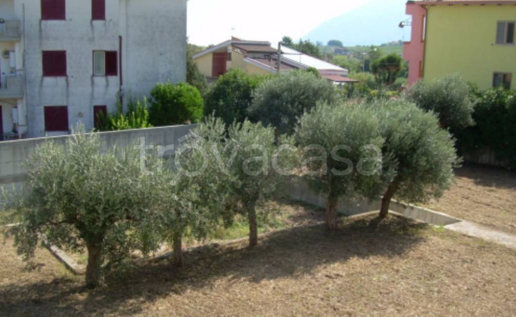 immagine annuncio 9 di 11