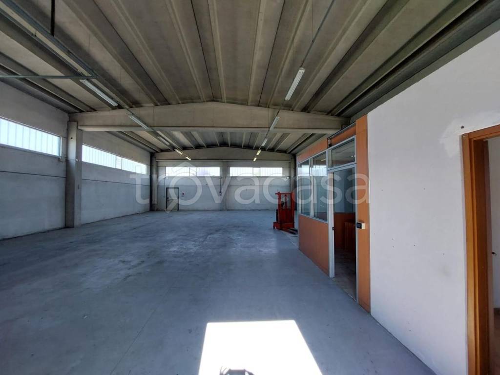 immagine annuncio 2 di 8
