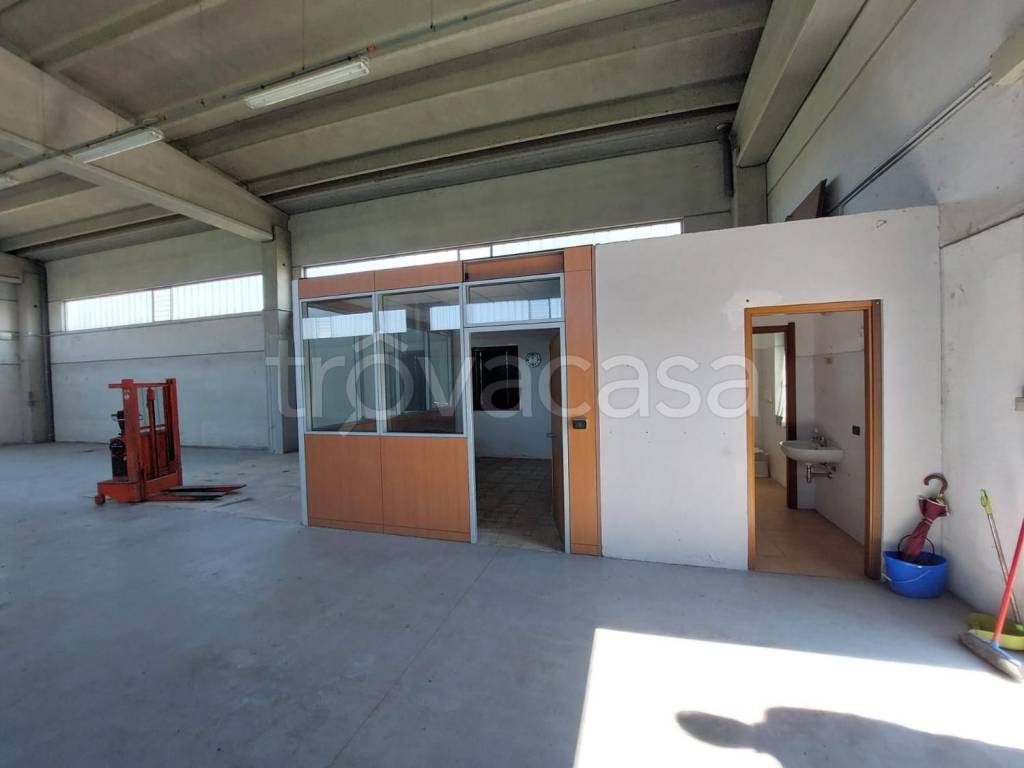 immagine annuncio 3 di 8