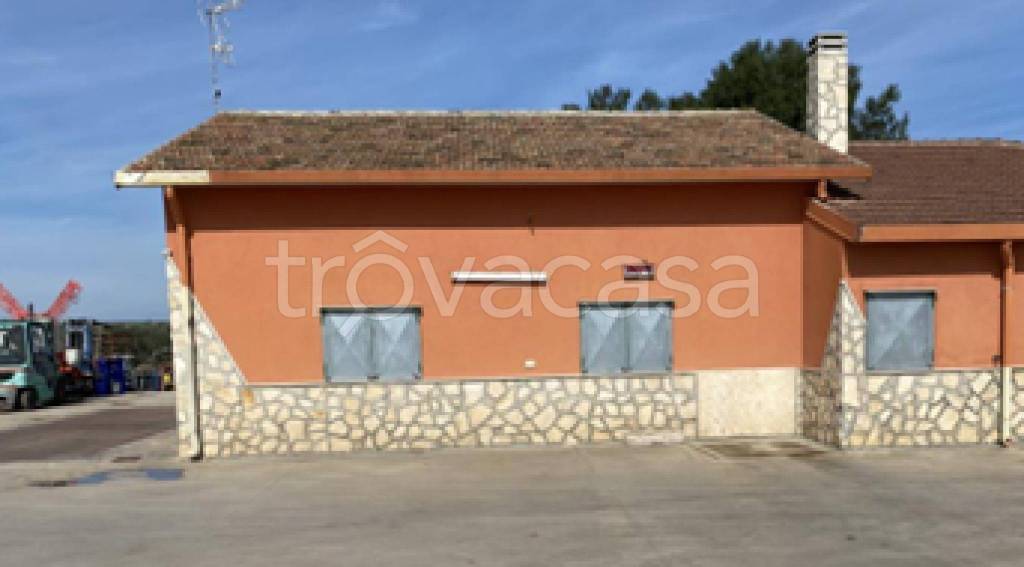 immagine annuncio 9 di 11