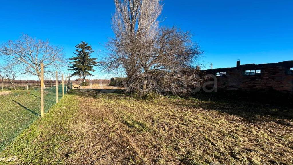 immagine annuncio 3 di 6