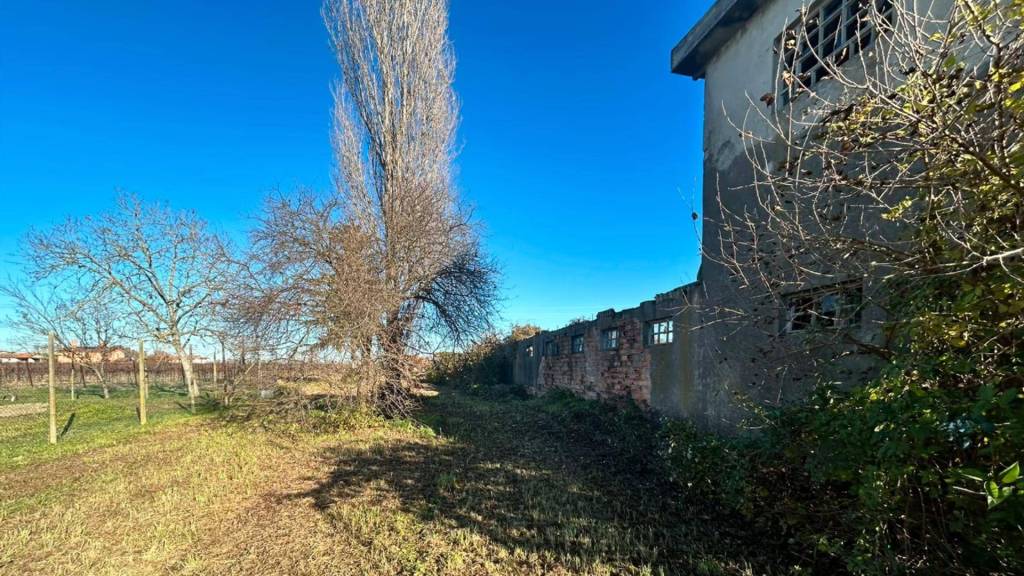 immagine annuncio 4 di 6