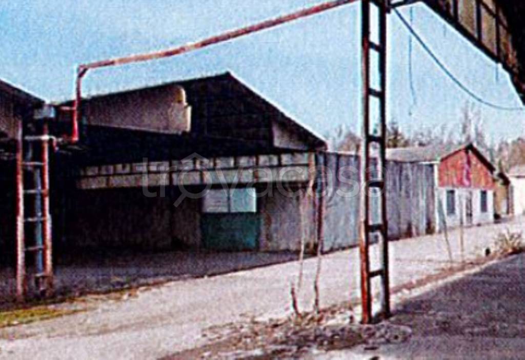 immagine annuncio 7 di 12
