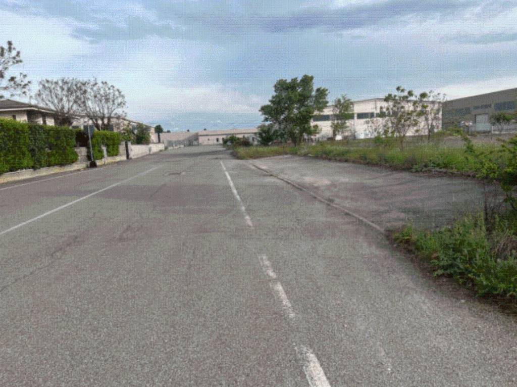 immagine annuncio 2 di 8
