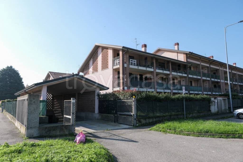 immagine annuncio 1 di 11