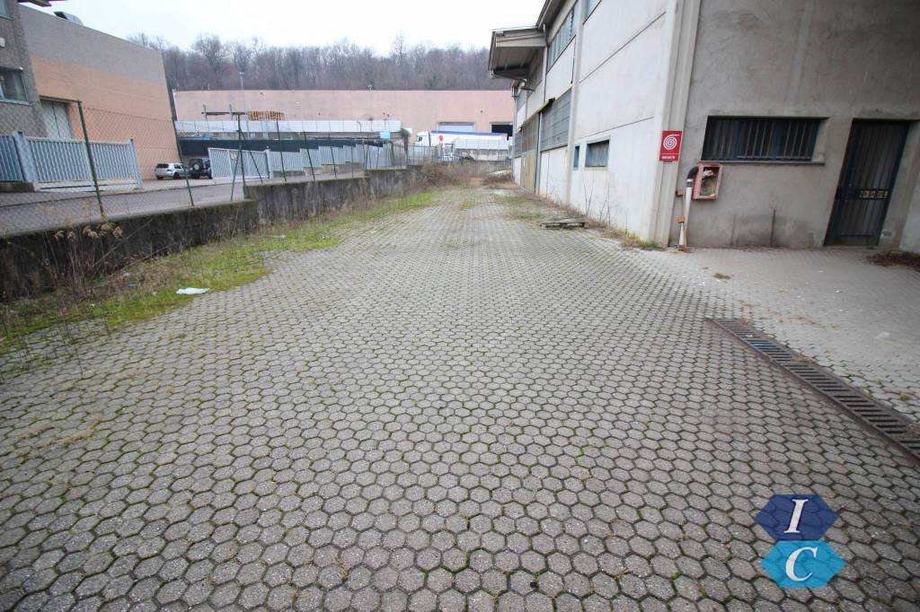 immagine annuncio 12 di 15