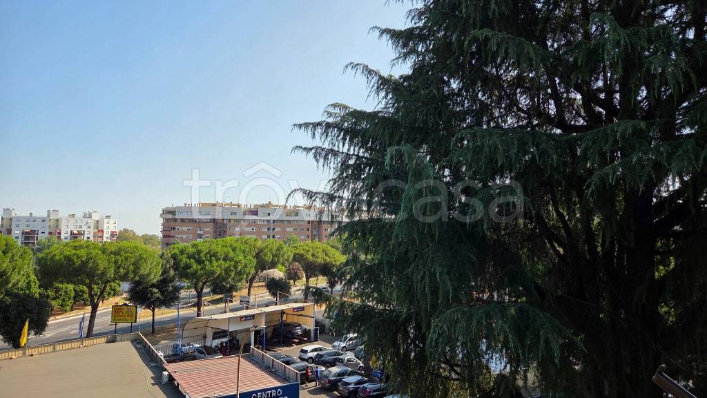 immagine annuncio 7 di 13