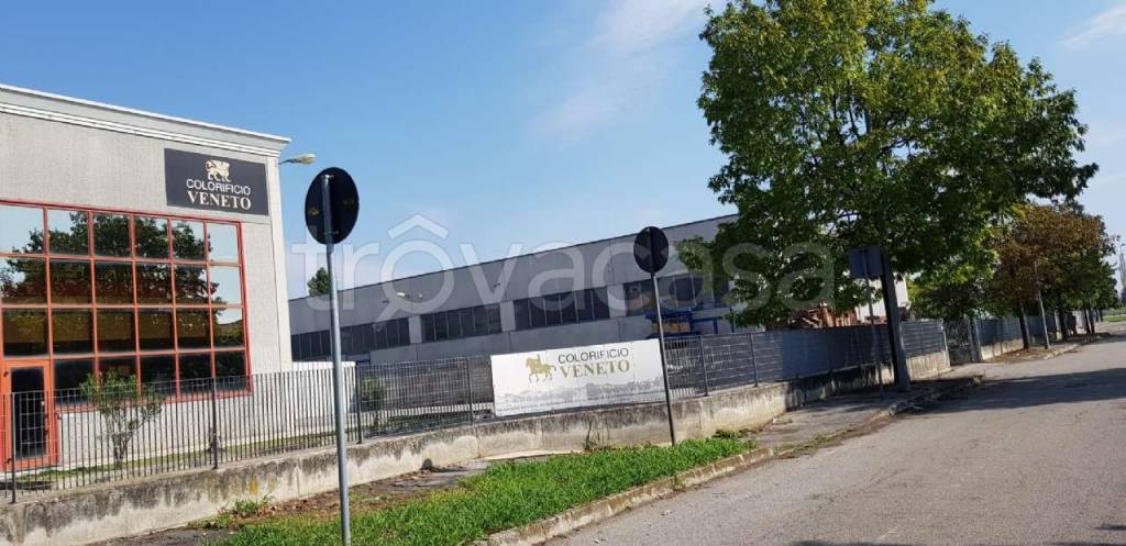 immagine annuncio 5 di 14