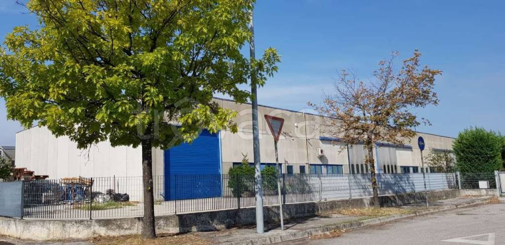 immagine annuncio 7 di 14