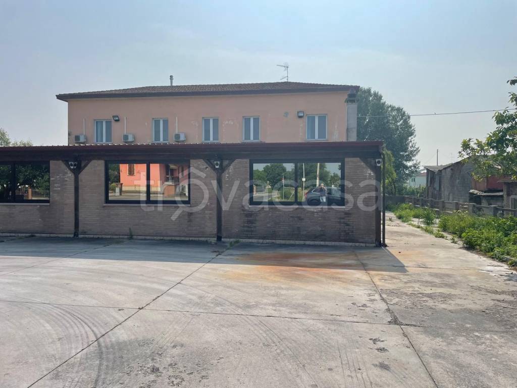 immagine annuncio 5 di 11