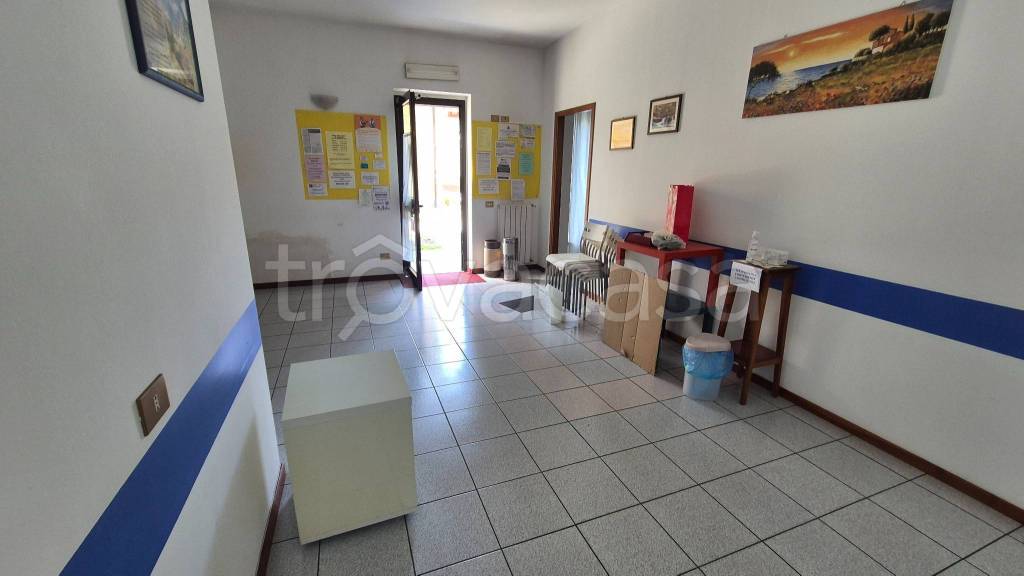immagine annuncio 11 di 13