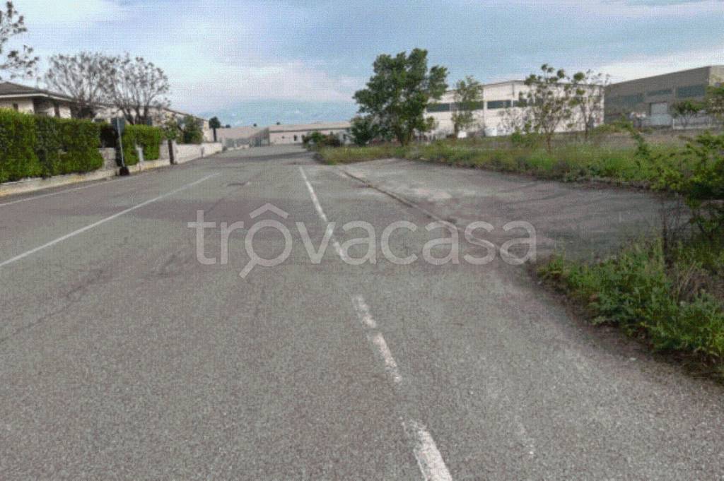 immagine annuncio 5 di 9