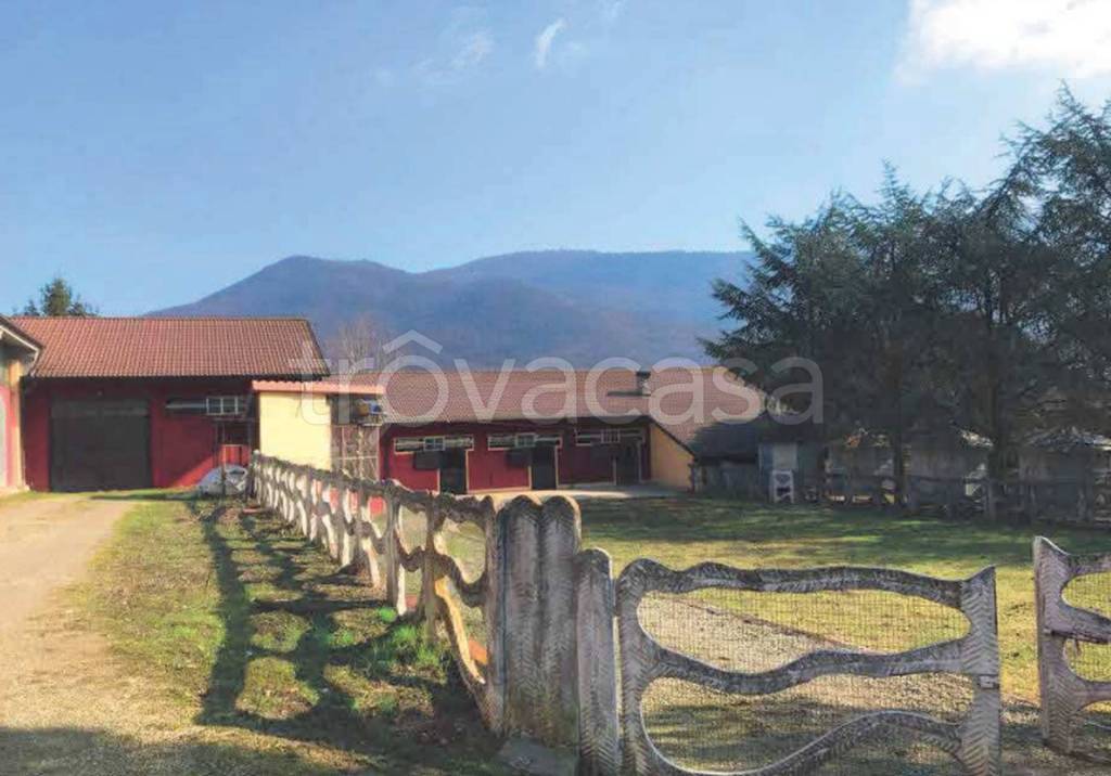 immagine annuncio 1 di 11