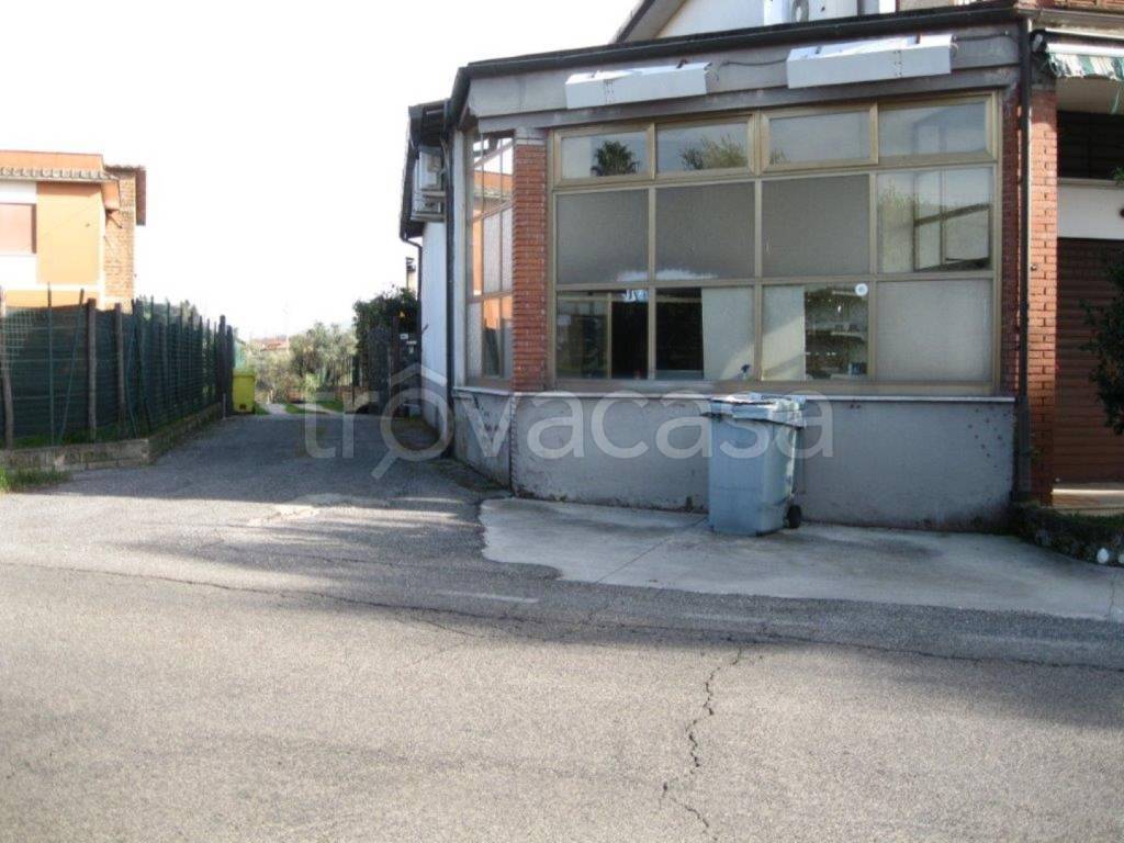 immagine annuncio 3 di 13