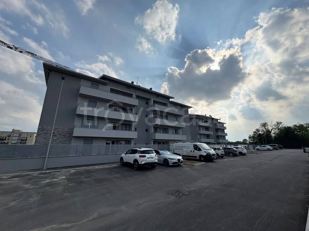 immagine annuncio 9 di 14