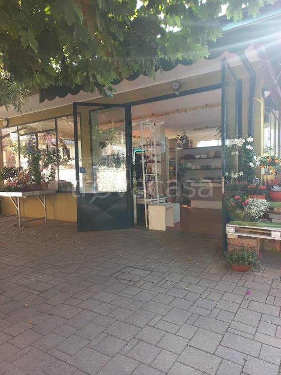 immagine annuncio 5 di 11