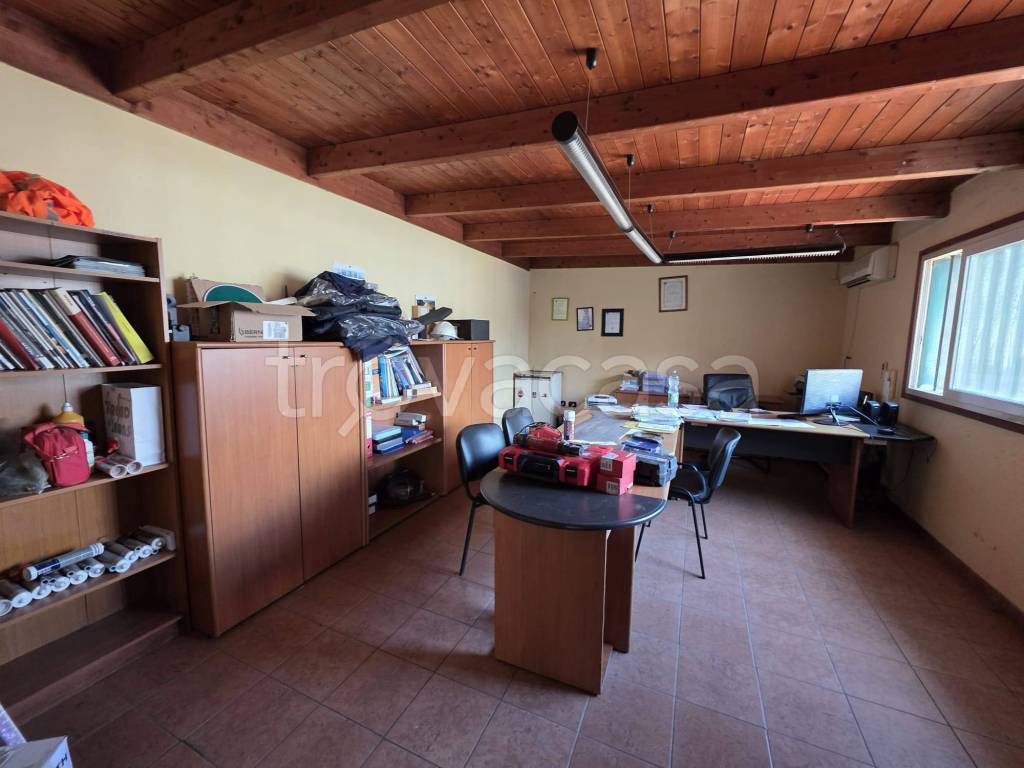 immagine annuncio 2 di 8