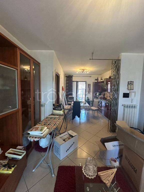 immagine annuncio 2 di 12