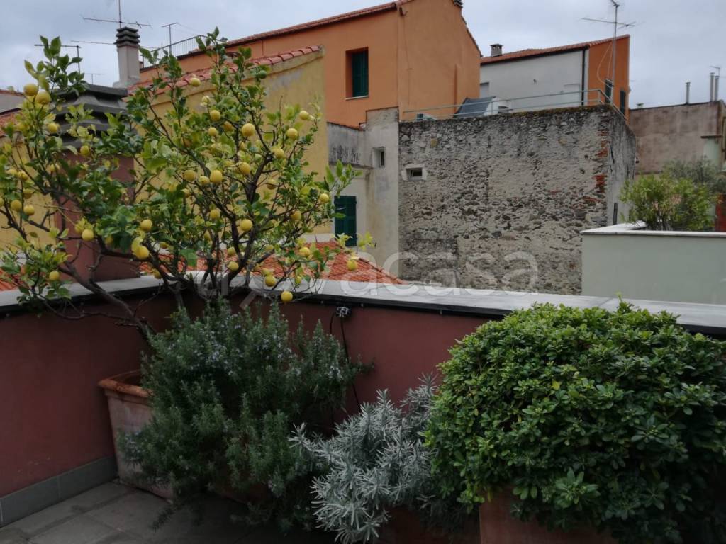 immagine annuncio 4 di 13