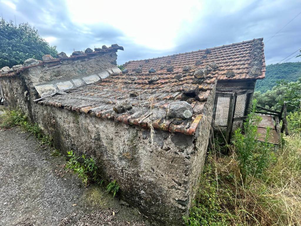 immagine annuncio 6 di 11