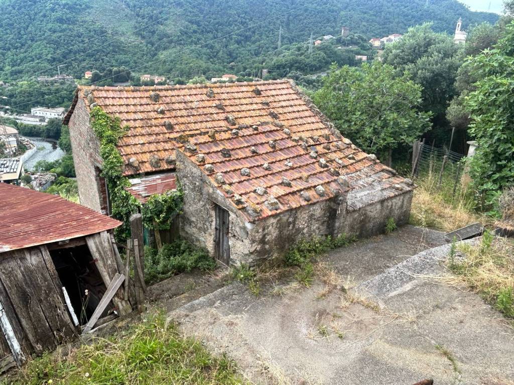 immagine annuncio 9 di 11
